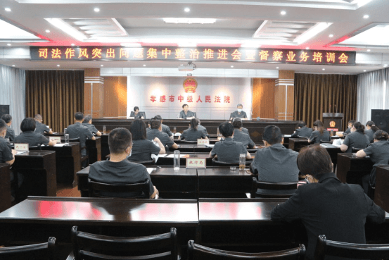 20220517沈璨煜：孝感中院召开“全市法院司法作风突出问题集中整治推进会暨督察业务培训会”153.png